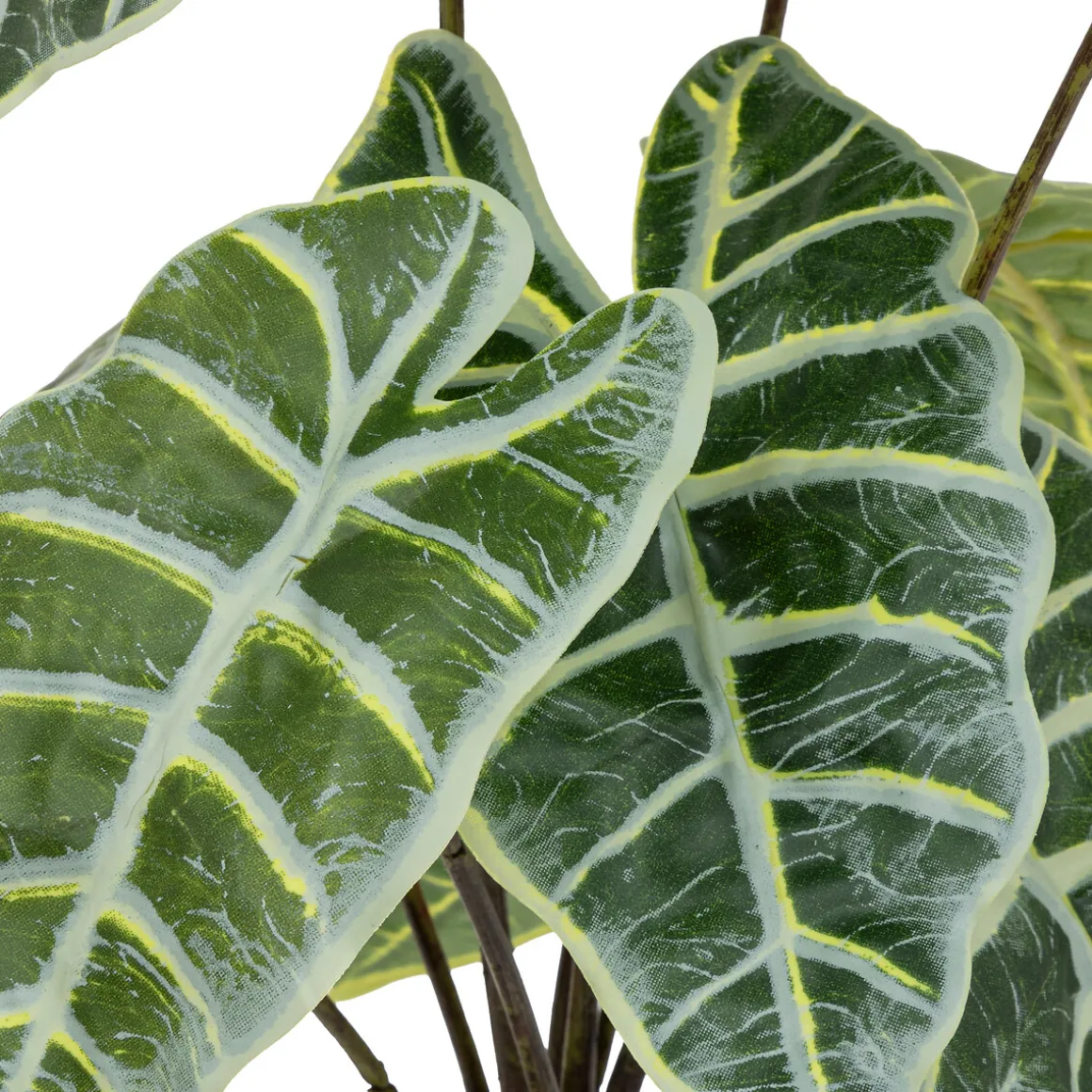 Alocasia artificiel