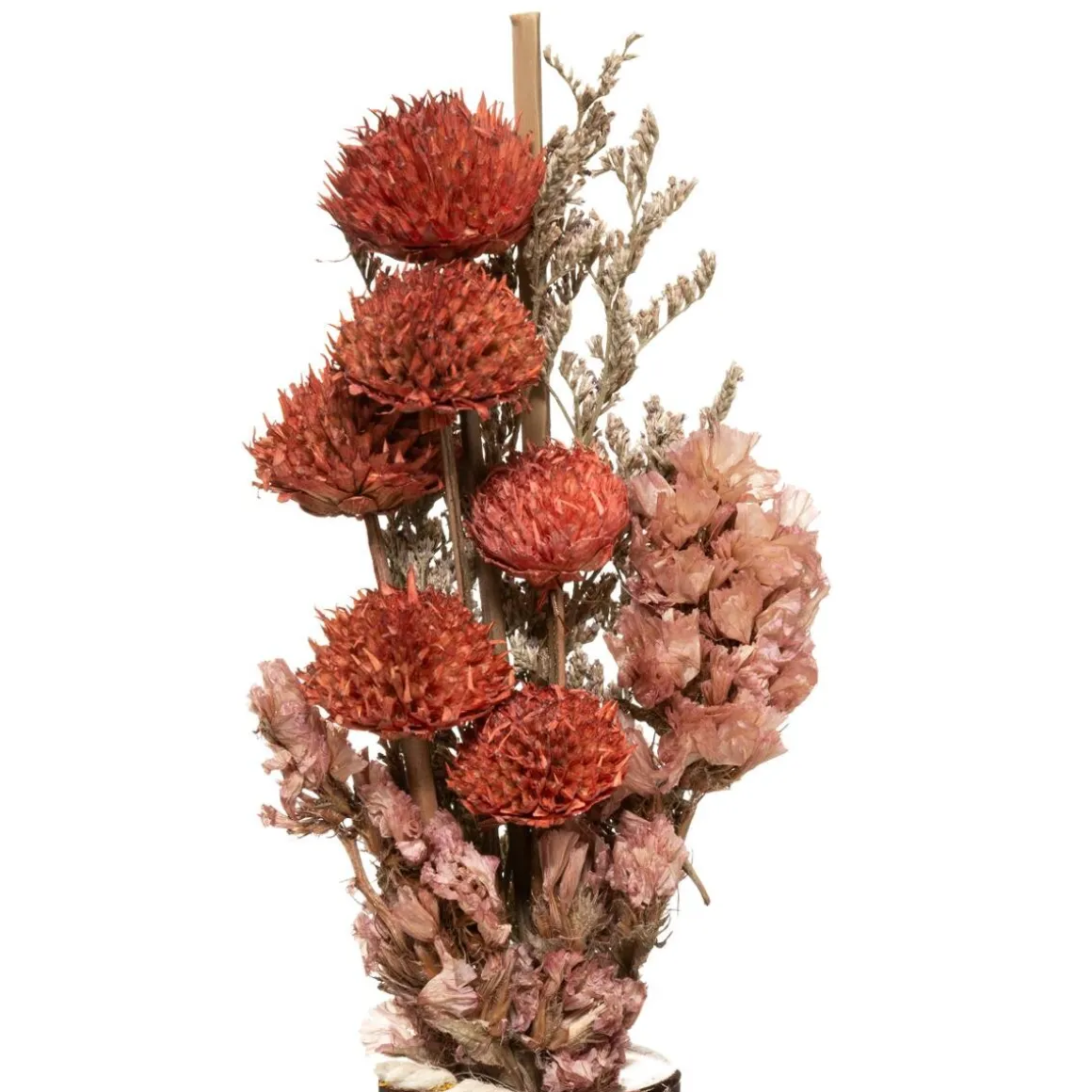 Bouquet de fleurs séchées "Wonder"