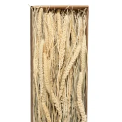 Bouquet fleurs séchées