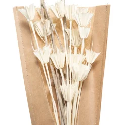 Bouquet fleurs séchées