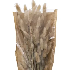 Bouquet fleurs séchées "Ori"