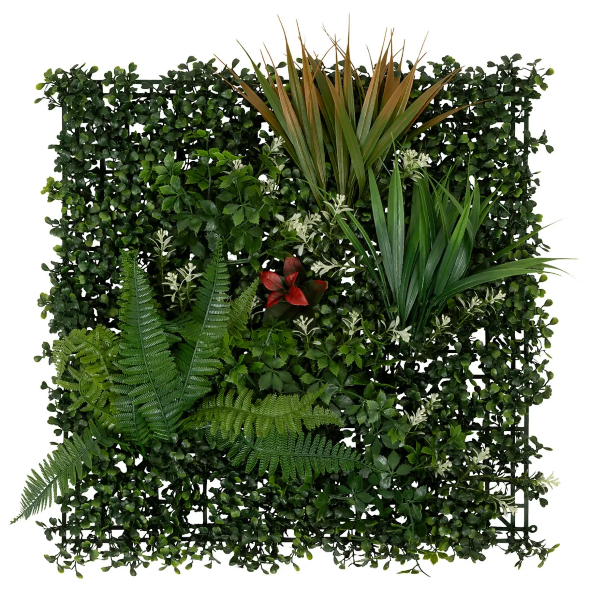 Carré végétal Tropical "Izy"