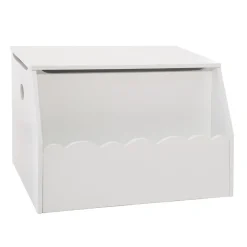 Coffre à jouets et bibliothèque enfant