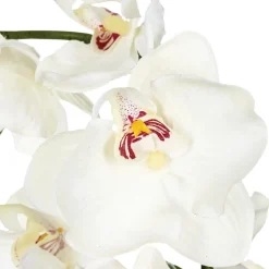 Composition d'orchidées artificielles