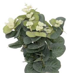 Composition Eucalyptus avec vase 