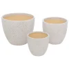 Lot de 3 pots "Vena"