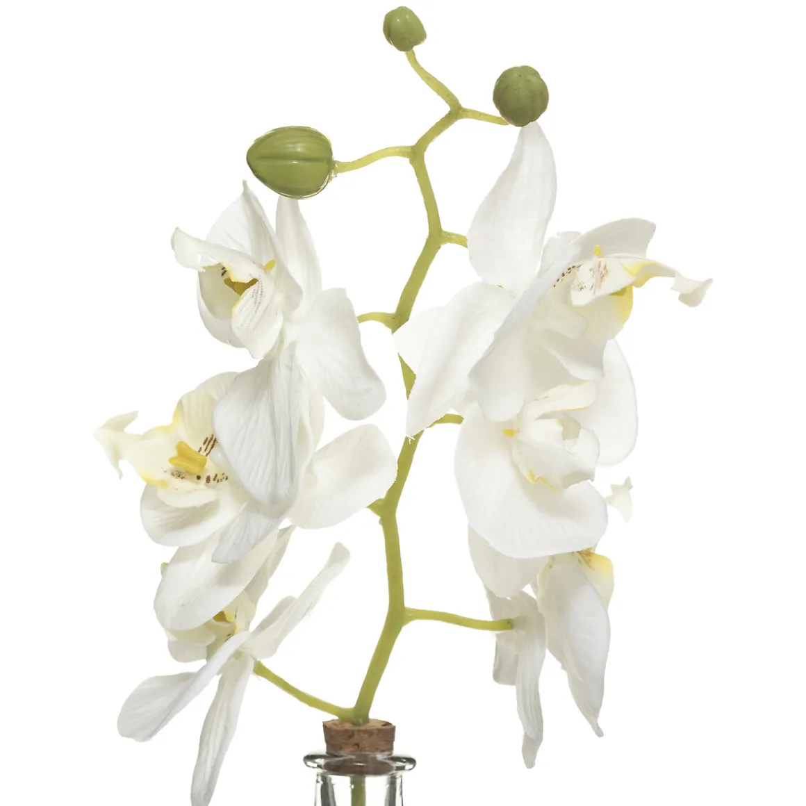 Orchidée artificielle "Edi" avec vase