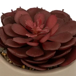 Plante grasse artificielle 