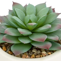 Plante grasse artificielle 