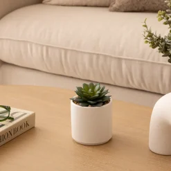 Plante grasse artificielle 