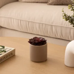 Plante grasse artificielle 