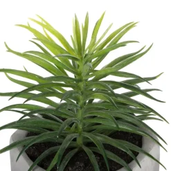 Plante grasse artificielle