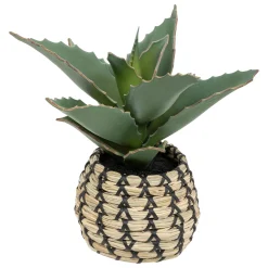 Plante Samouraï articifielle "Pio"