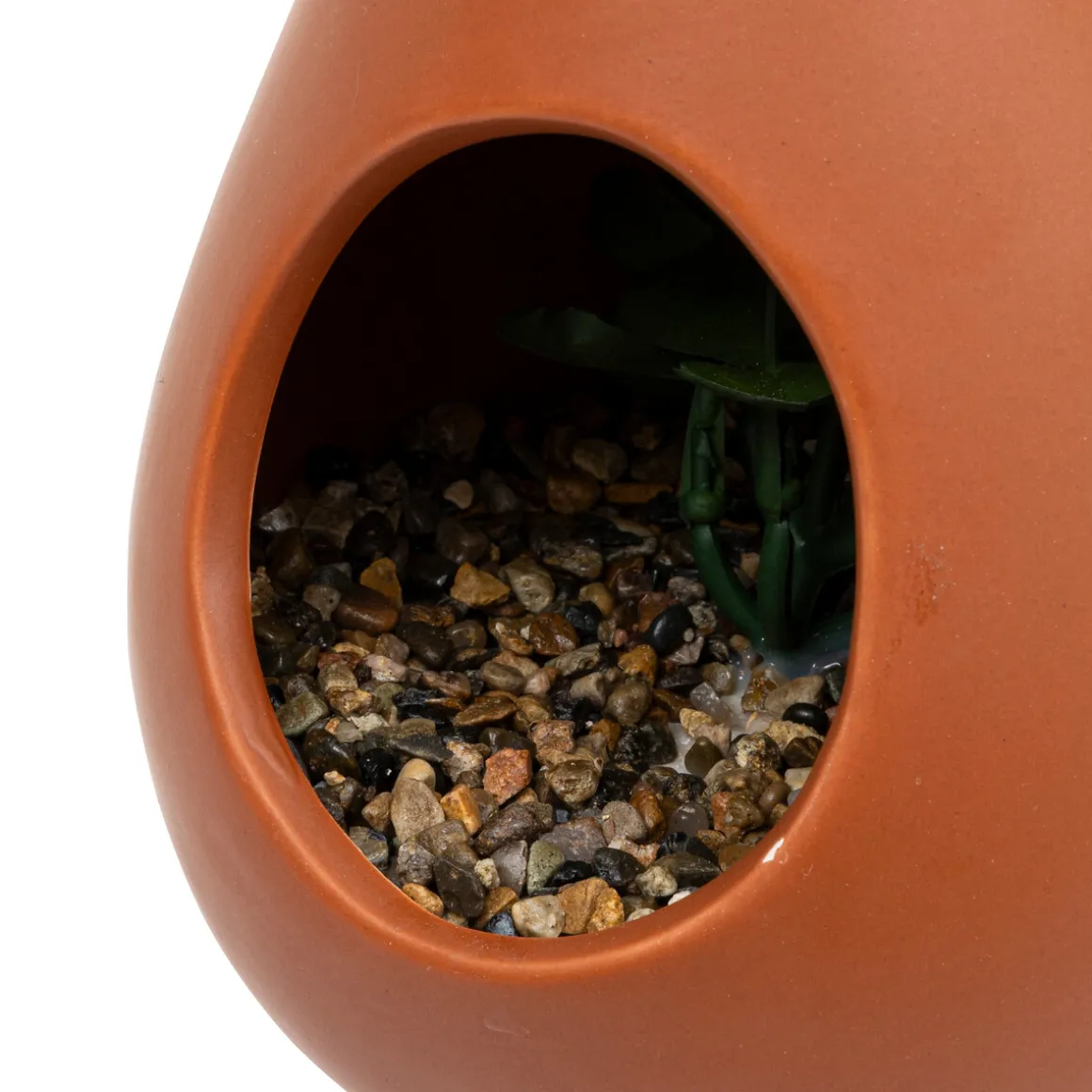 Plante suspendue goutte