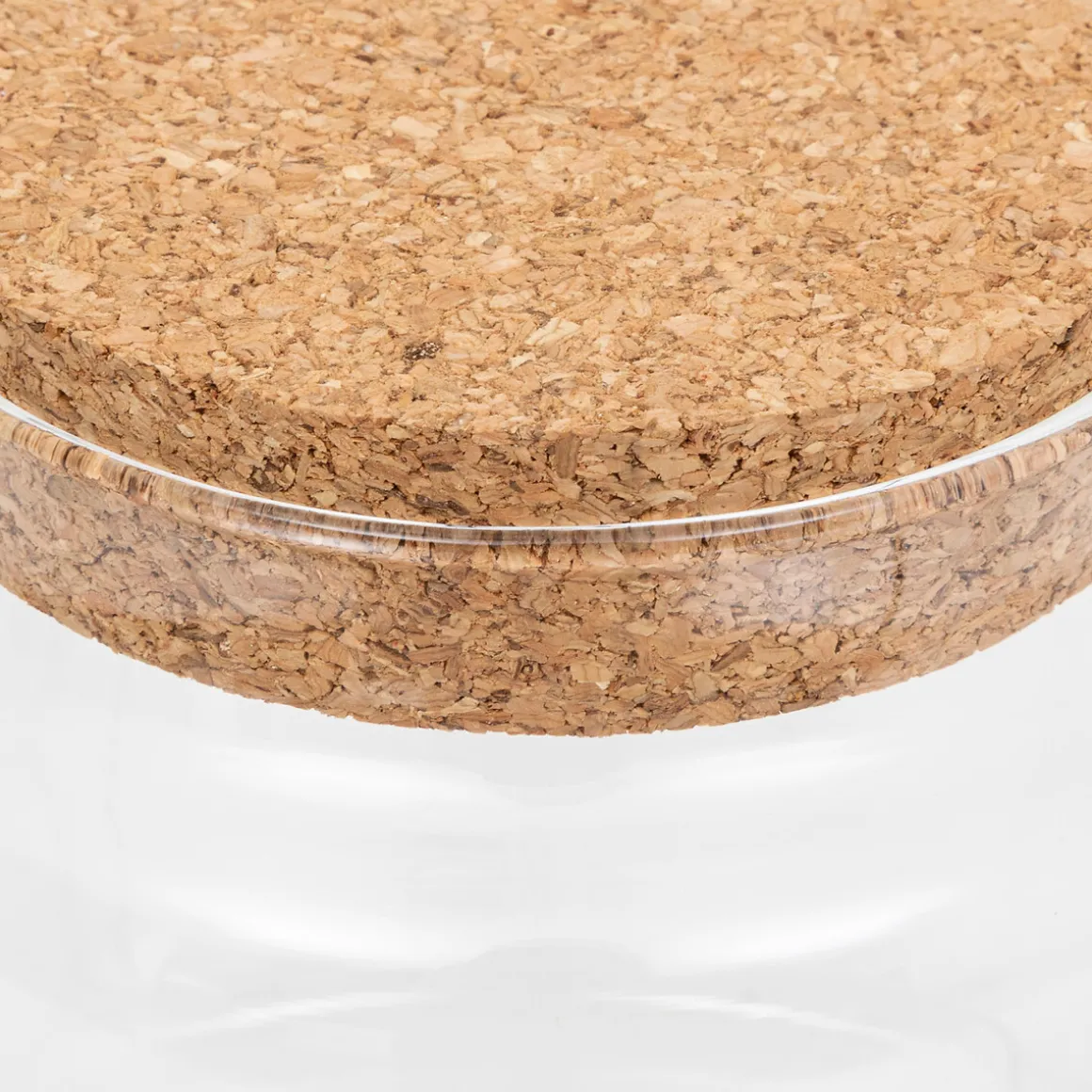 Terrarium avec couvercle