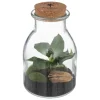 Terrarium "Bota", verre