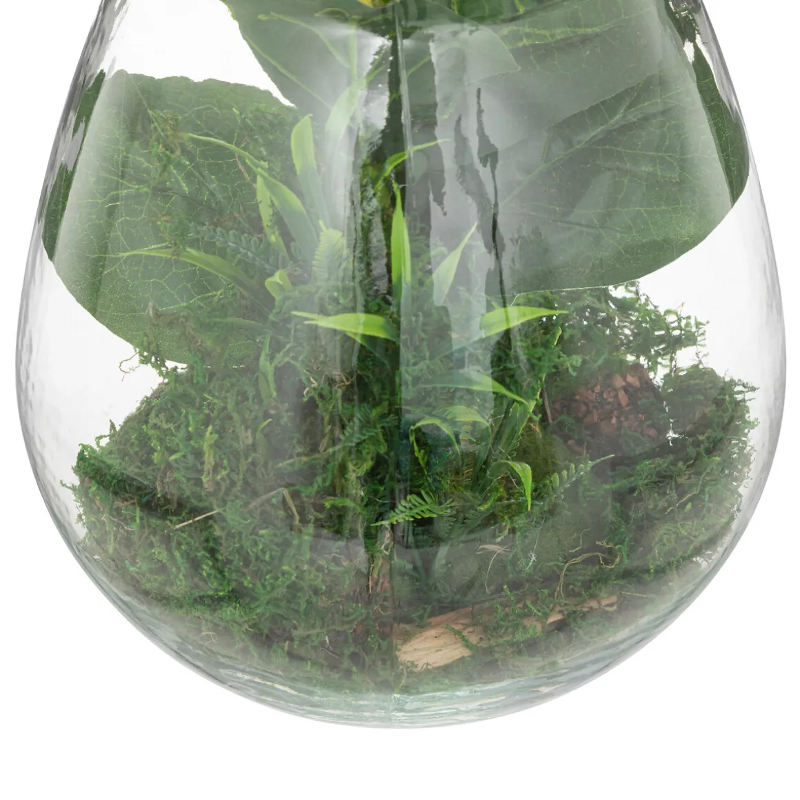 Terrarium "Bota", verre