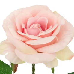 Tige de rose artificielle